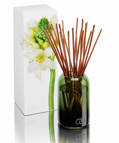 Le Petit Diffuser Zeila