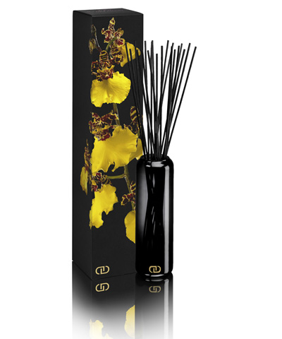 Exotic Diffuser Laini